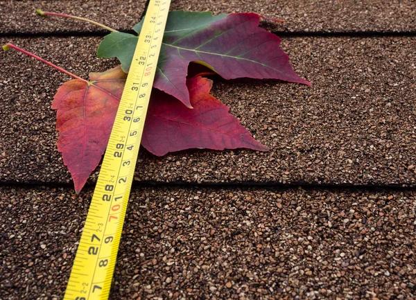 Protect Your Home with Reliable Roof Replacement in Prattville