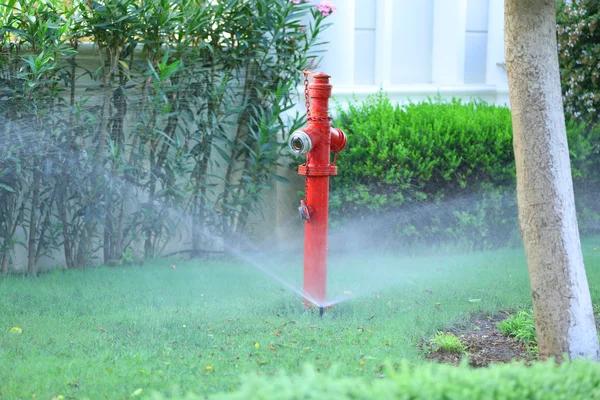 Proactive Water Leak Prevention Strategies for Homeowners