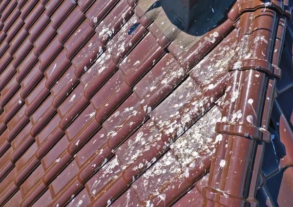 Roofing Materials Recommended by Windham Contractors