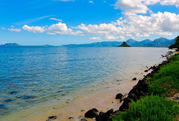 Discover the Natural Beauty of the Kaneohe Bay Sandbar