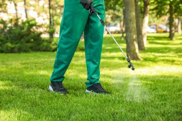 Comprehensive Lawn Care Services for Lush Green Lawns